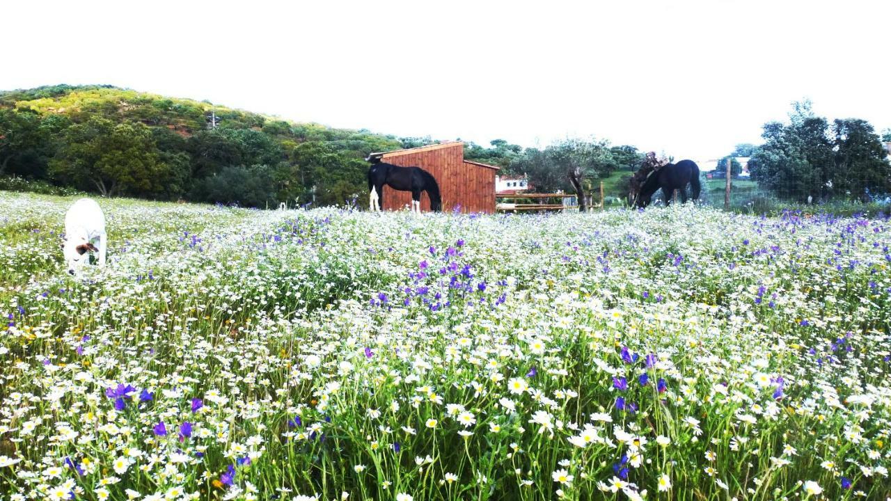 Sharish - Monte Das Estevas Estremoz Exterior photo