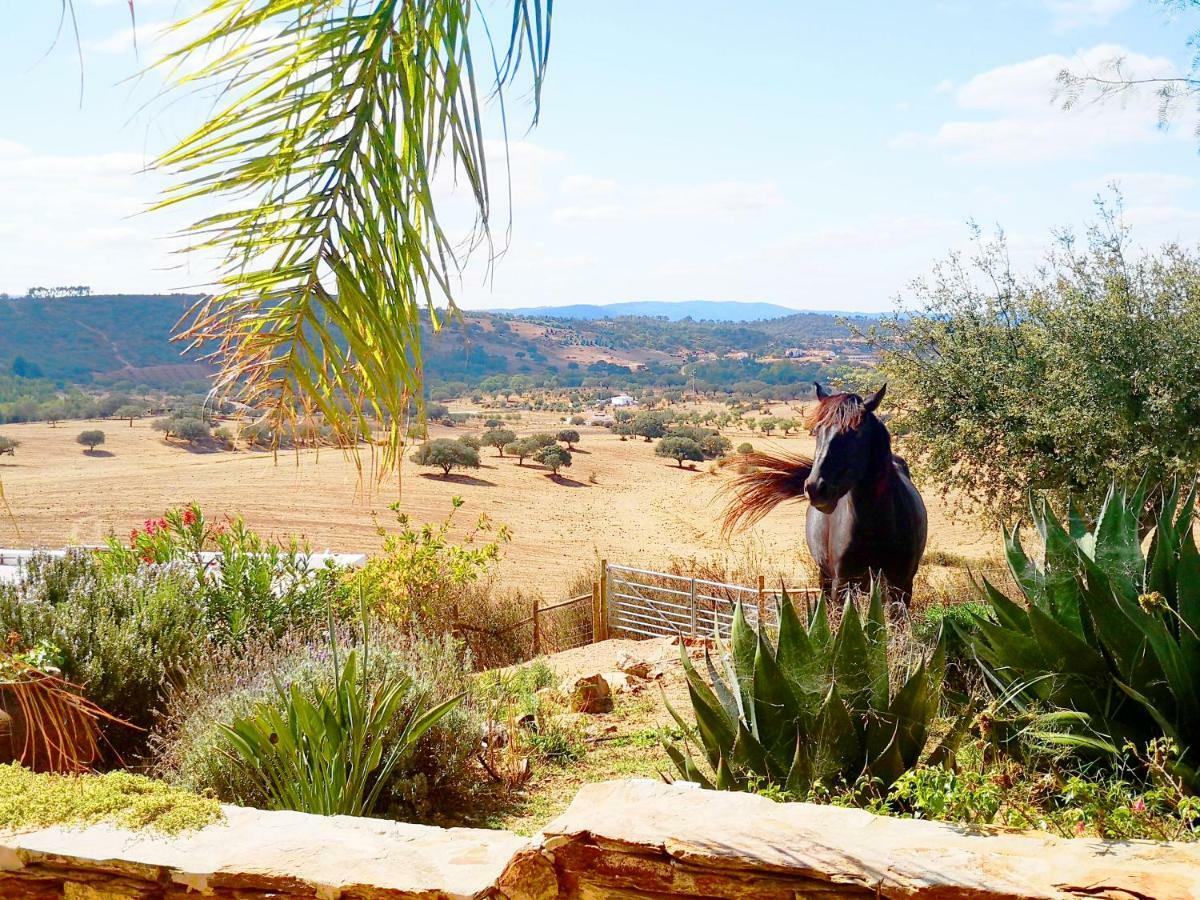 Sharish - Monte Das Estevas Estremoz Exterior photo